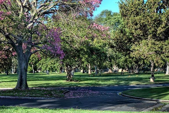 Fairhaven Memorial Park Mortuary-圣安娜必去景点