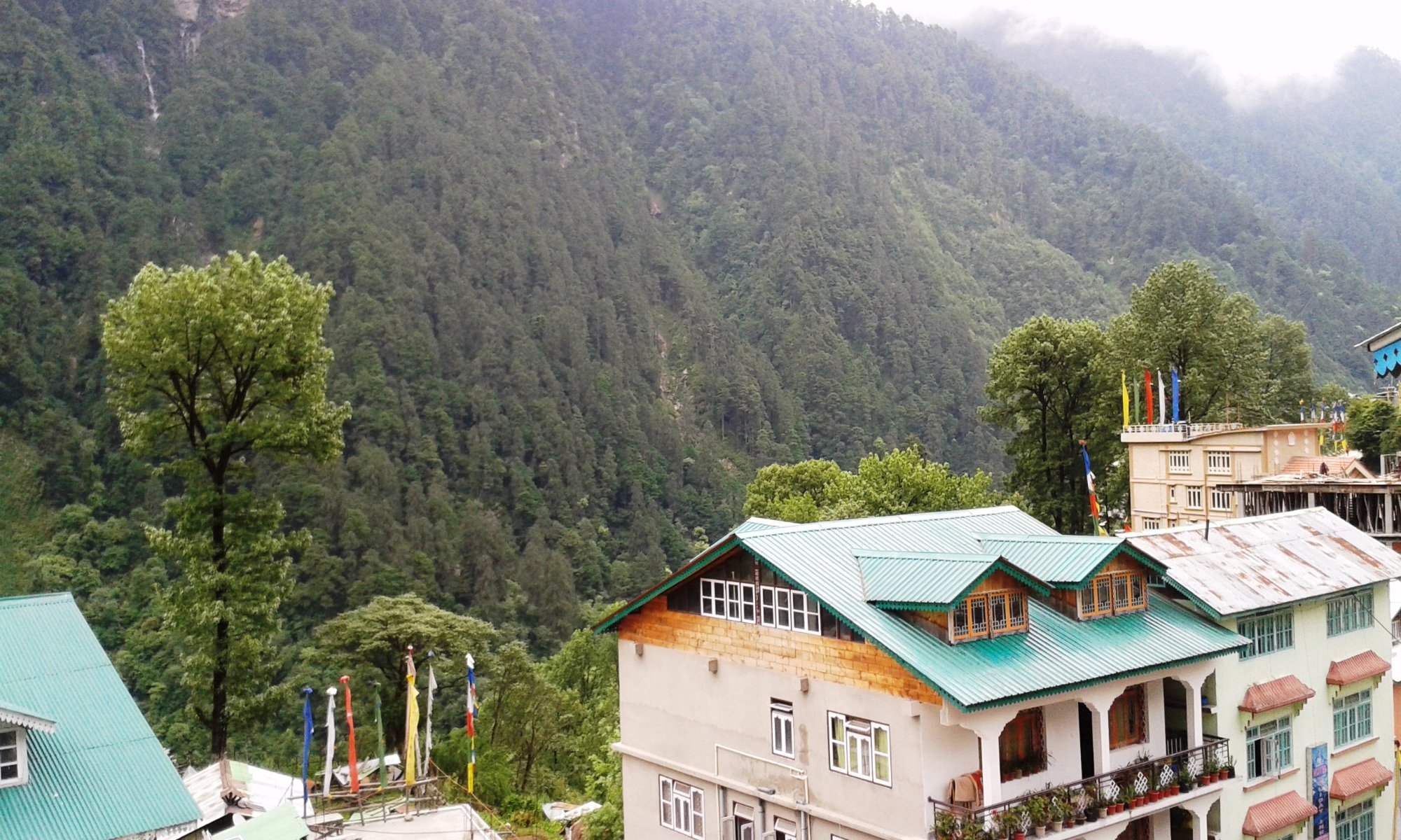 Hotel Cho-Lhamu-酒店景观