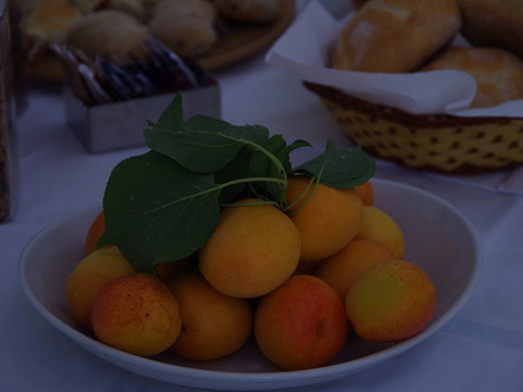 B&B Tenuta Paradisi主图