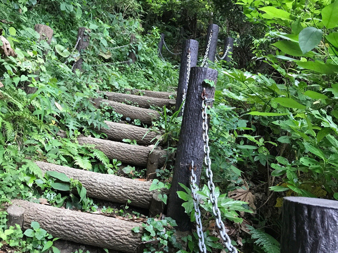 Taibusamisaki Nature Park-南房总市必去景点