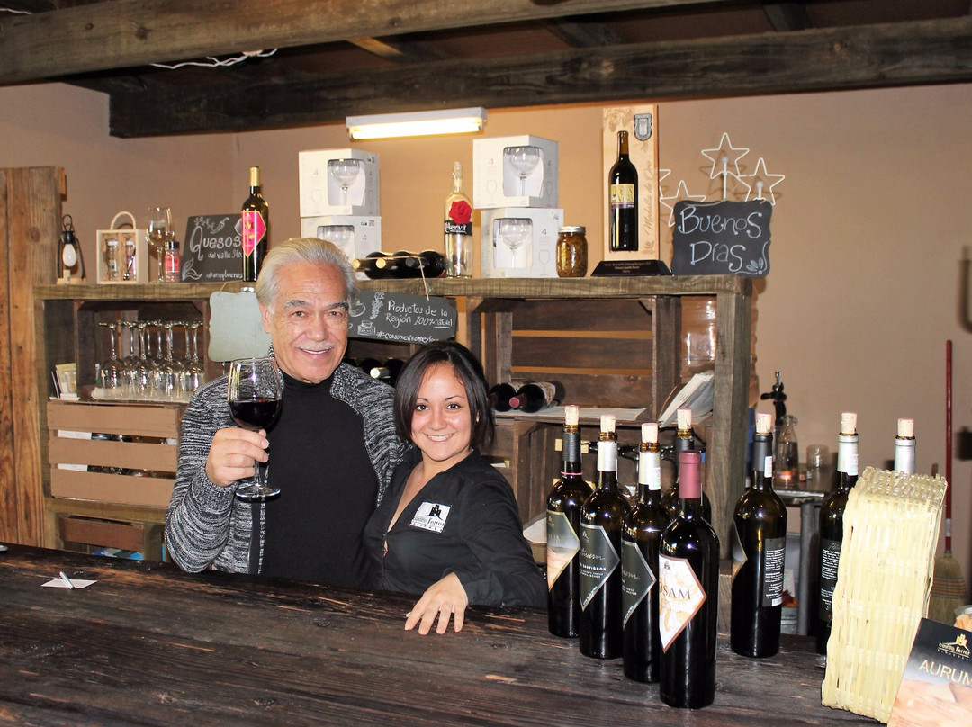 Tour Ruta del Vino-恩塞纳达必去景点