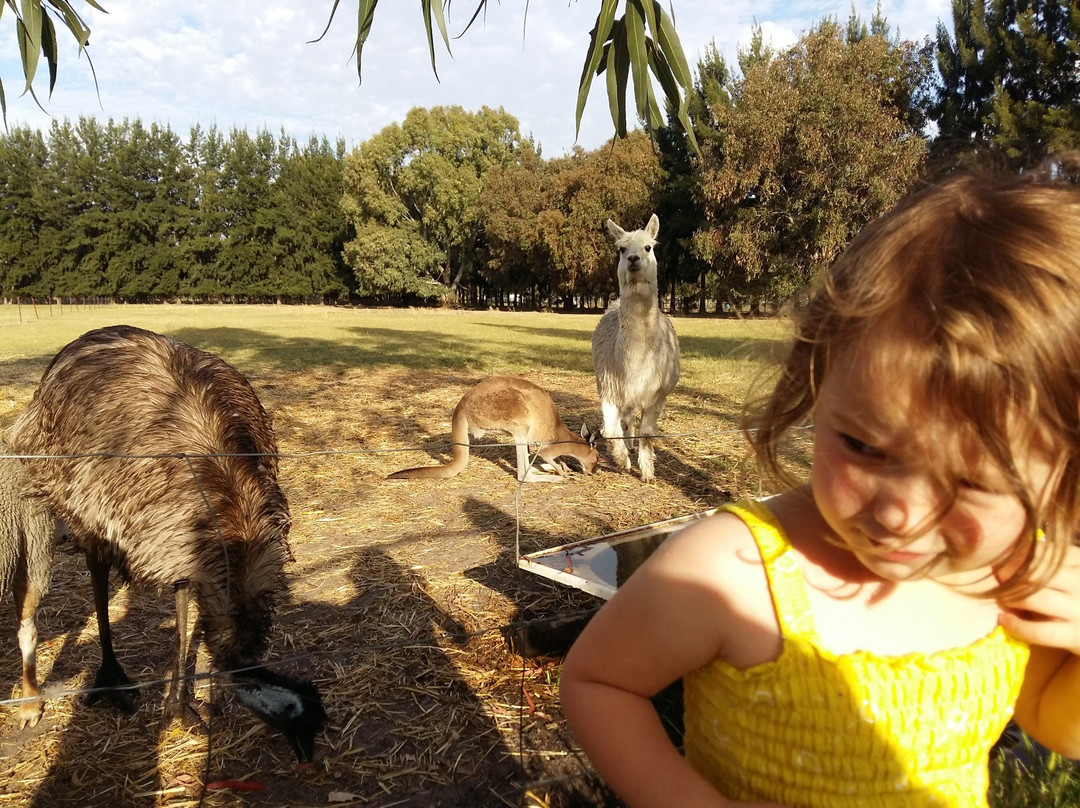 Enderslie House主图