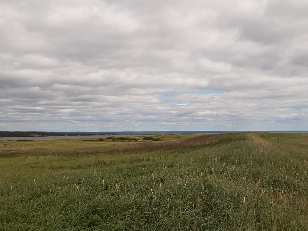 Pointe-de-Moisie-七岛港必去景点