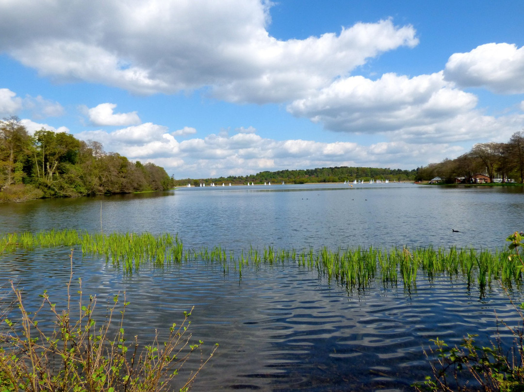 Frensham Great Pond and Common景点图片