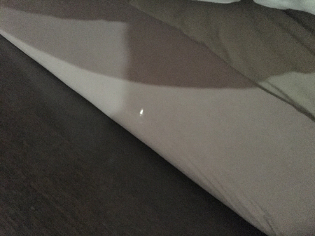 Ciudad de Alcala主图