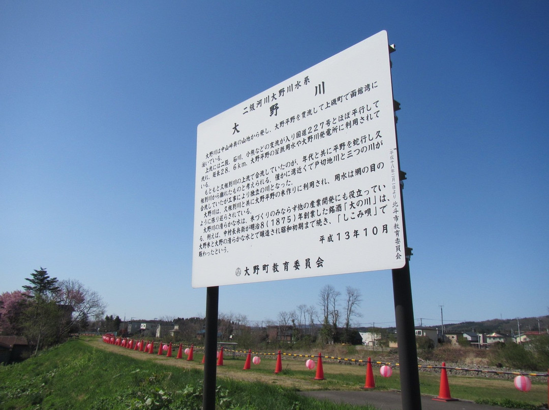 Ono River Cherry Blossom Avenue-北斗市必去景点