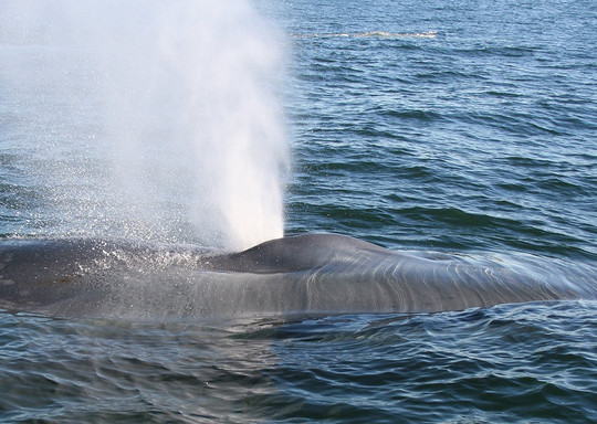 Meriscope-Portneuf-sur-Mer必去景点