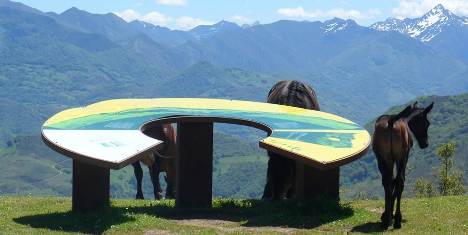Mirador Coto Bello景点图片