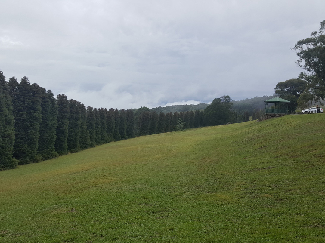 R.J. Hamer Arboretum-奥林达必去景点