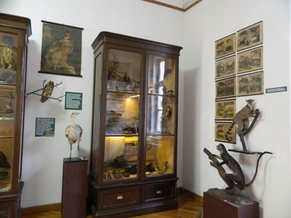 Kikinda National Museum景点图片