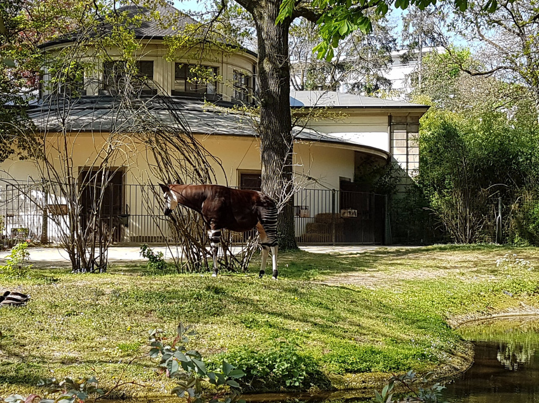Zoo Basel
