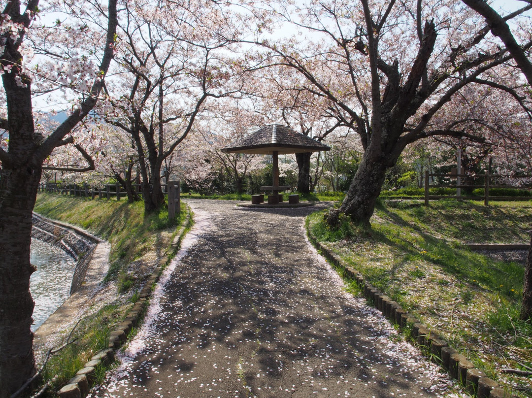 Hojo Oike Pond-筑波市必去景点