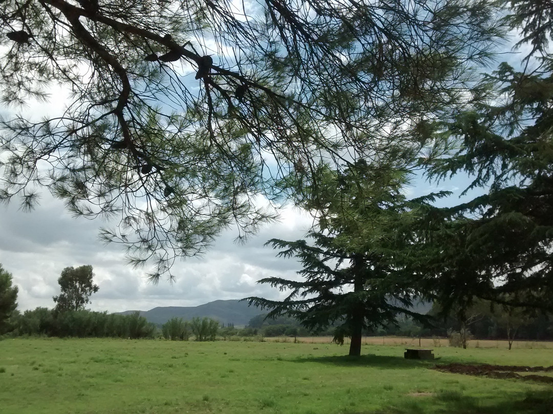 Dique Paso de las Piedras景点图片