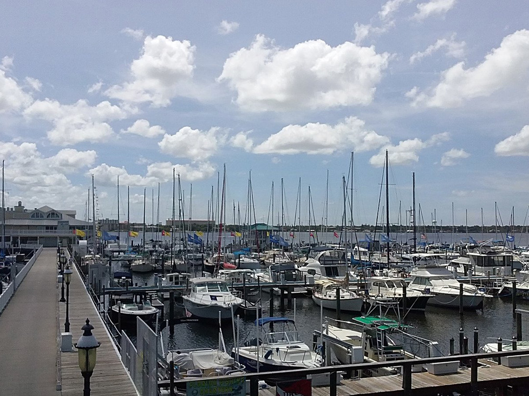 Pirate Monkey Boat Rentals-Palmetto必去景点