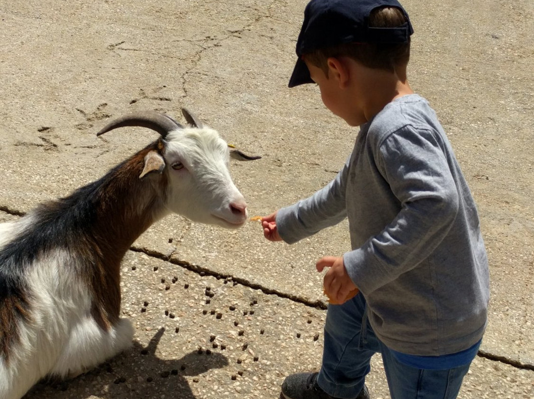 Agam Hai Yiron-Yiron必去景点