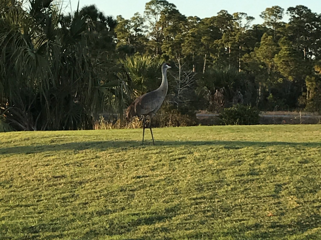 Okeeheelee Golf Course-西棕榈滩必去景点