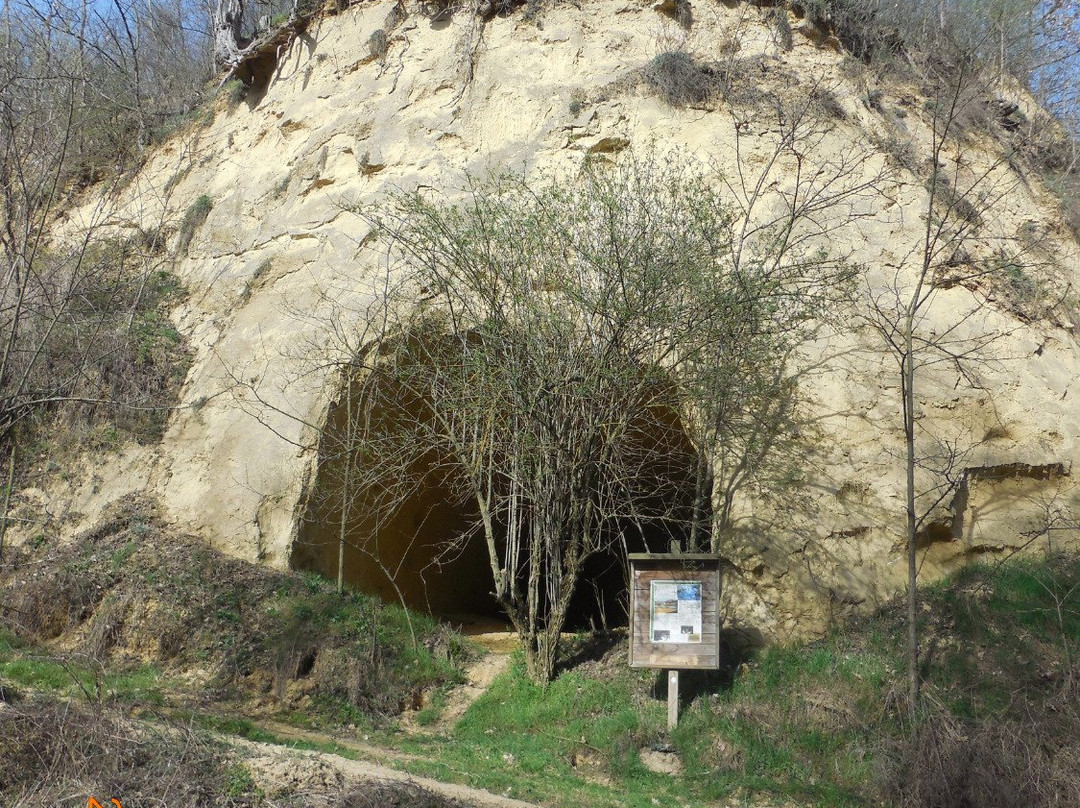 Riserva naturale  speciale di Valleandona, Valle Botto, Valle Grande景点图片