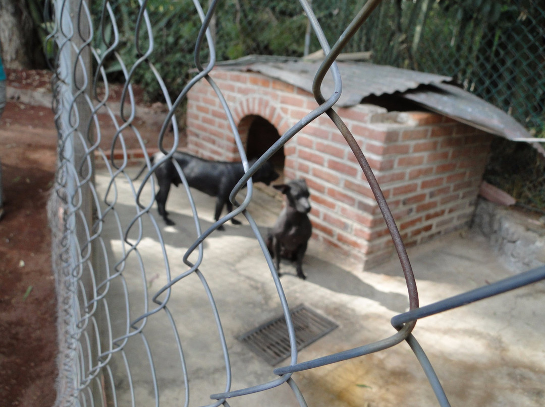 Comercializadora Artesanal Teotihuacan-圣胡安特奥蒂瓦坎必去景点