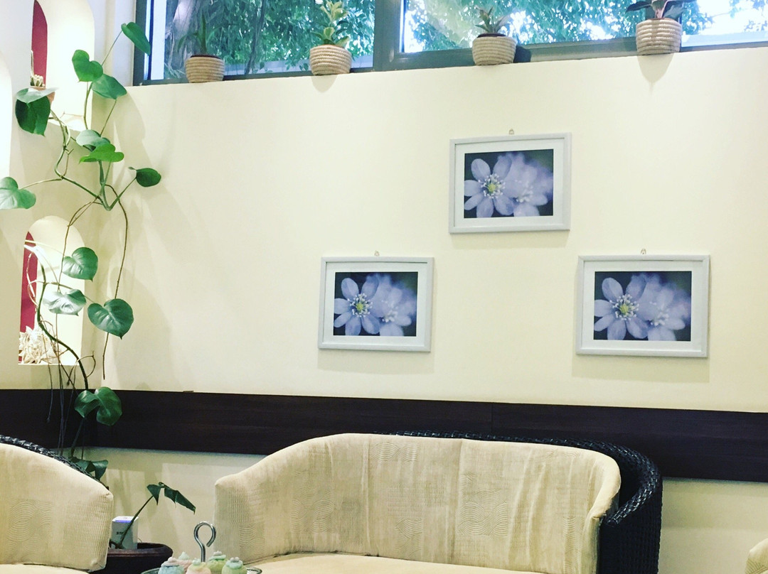 Beauty Addict-阿布贾必去景点