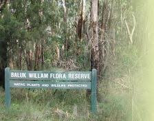 Baluk Willam Nature Conservation Reserve-贝尔格雷夫必去景点