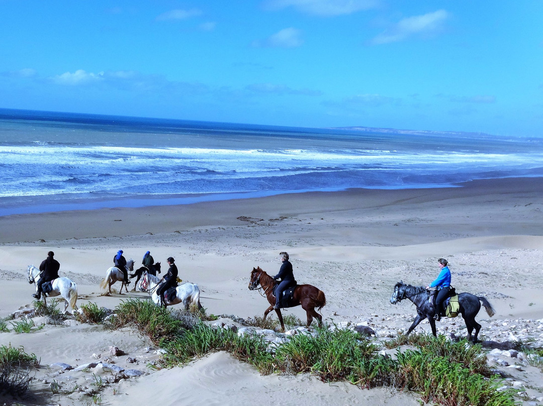 Ranch Mogador-索维拉必去景点