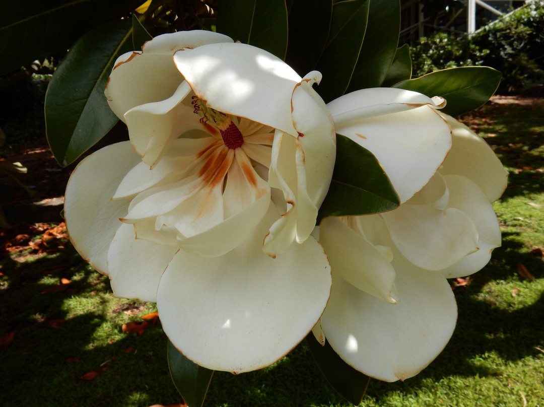 Huon Valley Bed and Breakfast主图