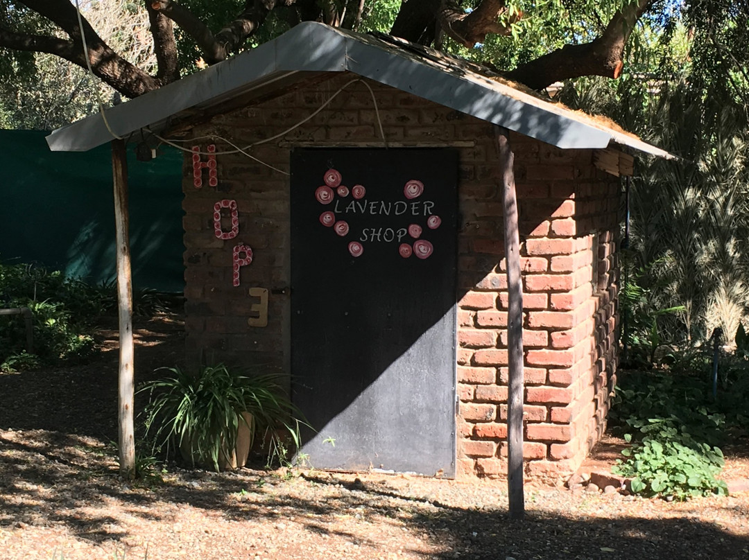Lavender House B & B主图