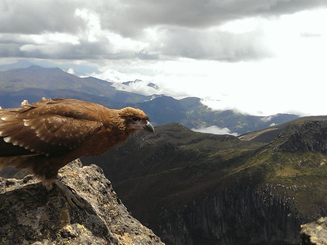 Pichincha-基多必去景点