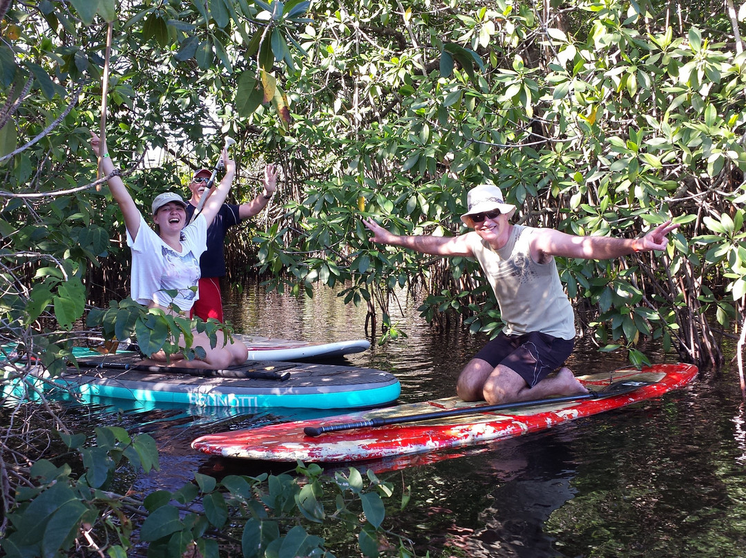 Learn 2 Kite Cabarete-喀巴里特必去景点