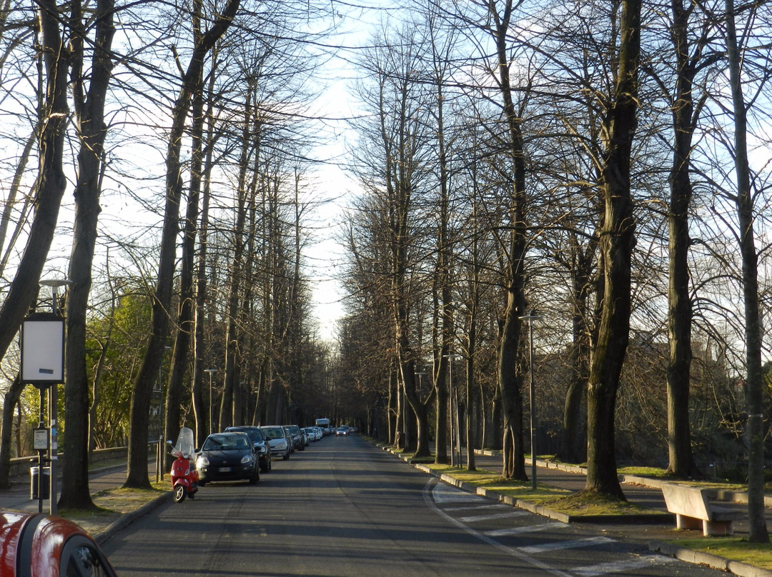Viale delle Piagge景点图片