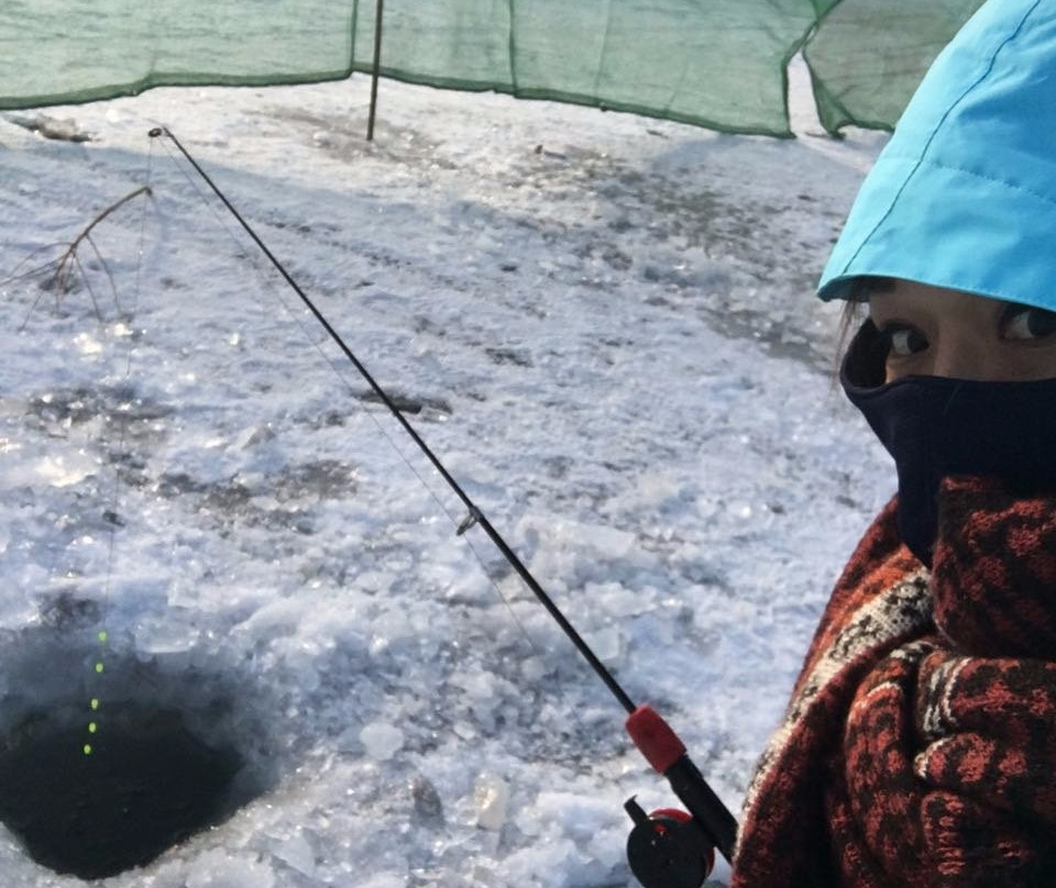 哈素海-土默特左旗必去景点