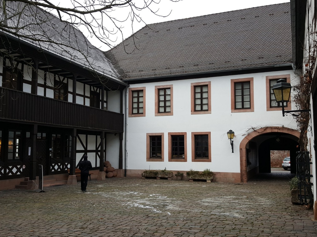 Theodor-Zink-Museum景点图片