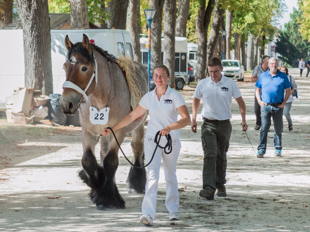 L'Ecrin de Brierat-Saint-Priest-la-Prugne必去景点