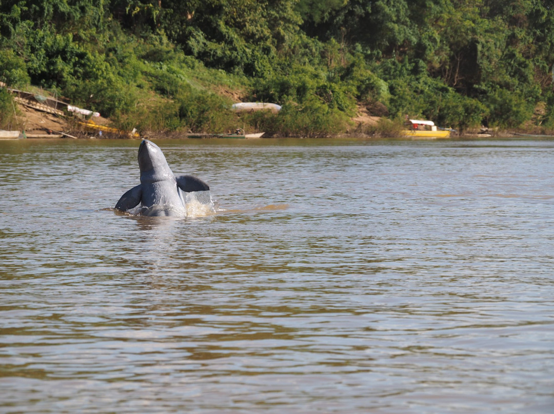 Atcambodia-Kratie必去景点