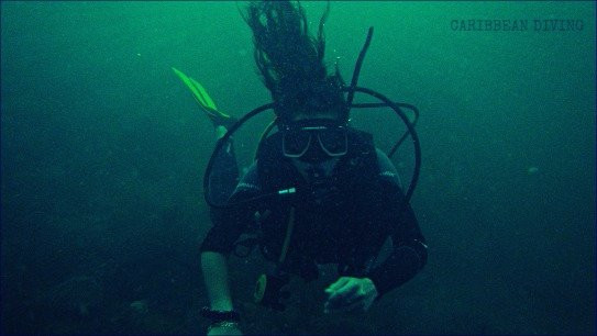 Caribbean Diving-位于塔甘加必去景点