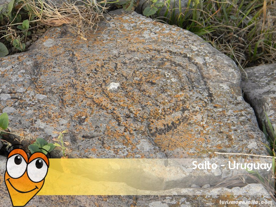 Visitas Guiadas-Salto必去景点