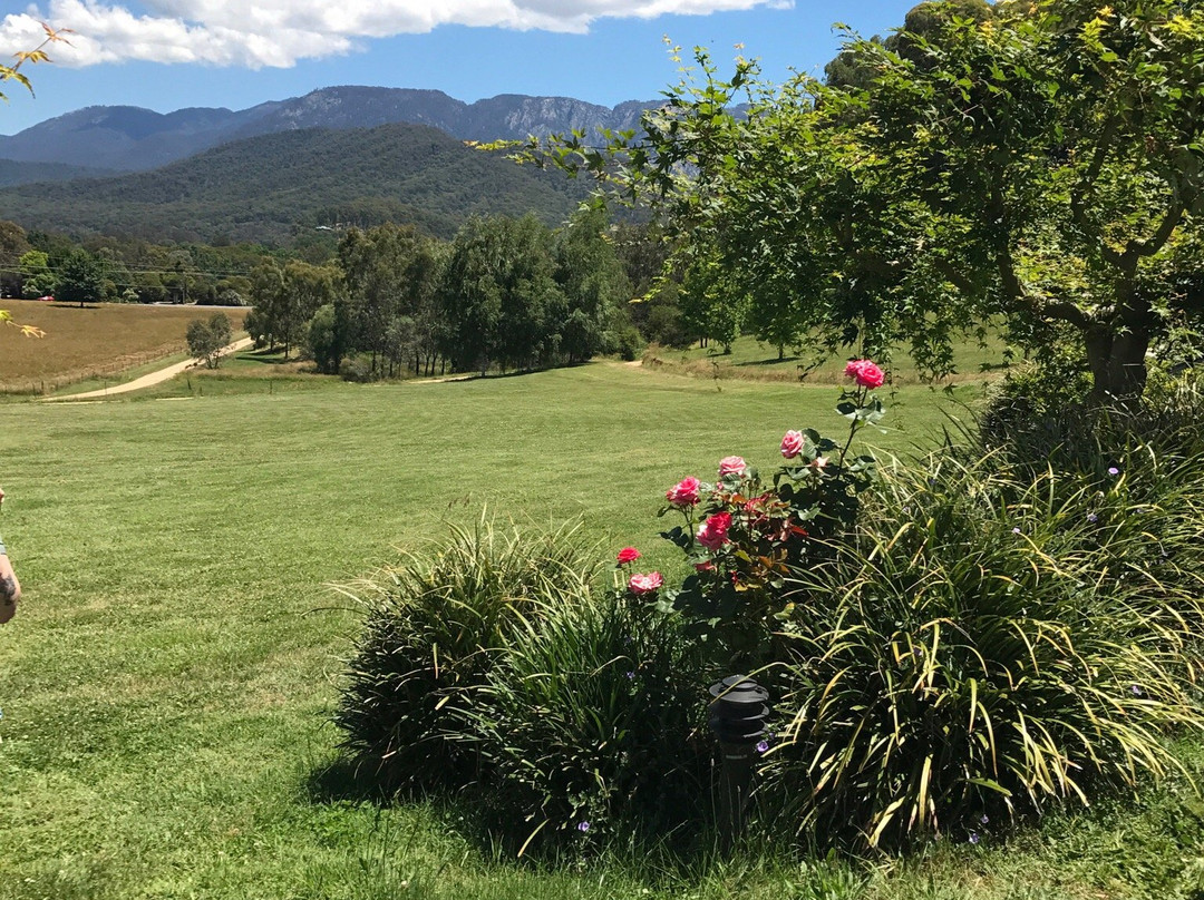 A Taste of Wine Tours-布赖特必去景点