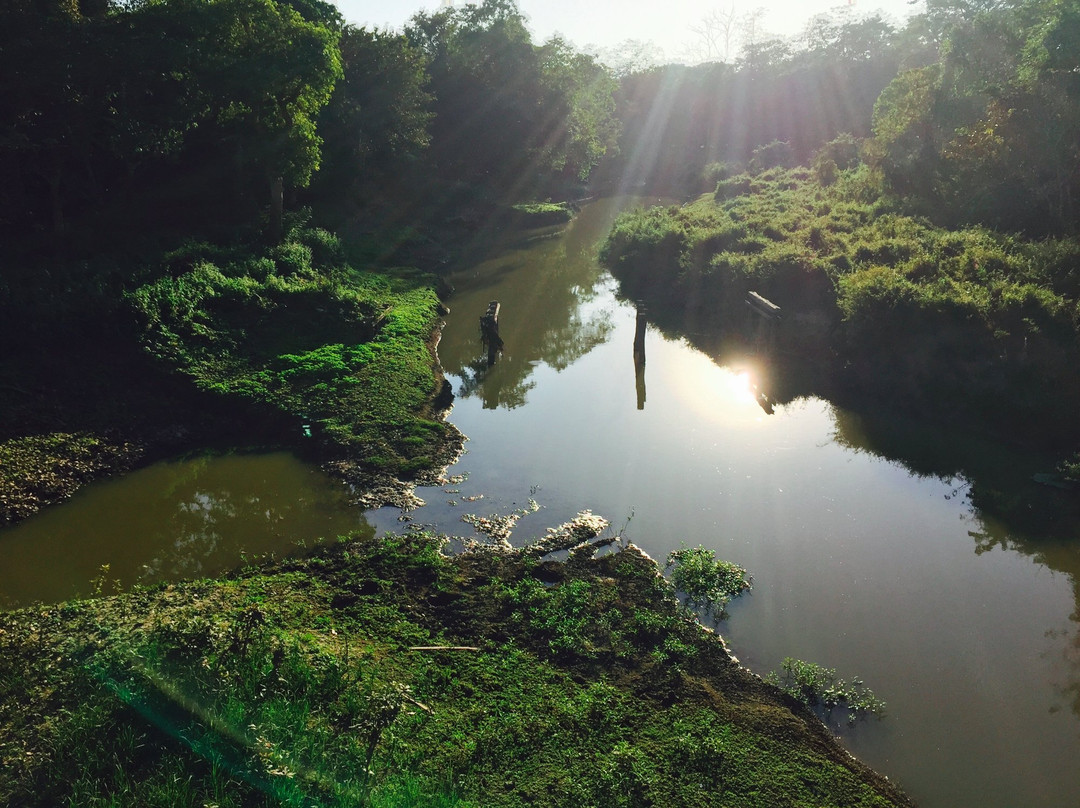 Nagaon District旅游攻略图片