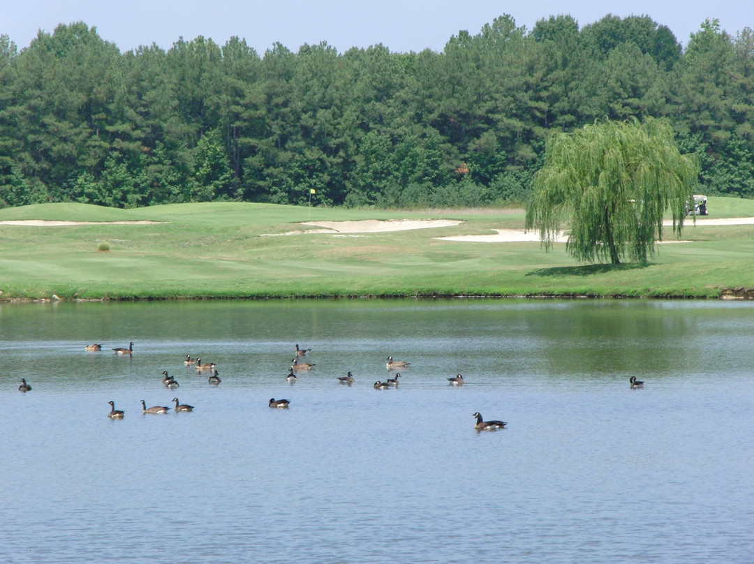 Hobbs Hole Golf Course景点图片