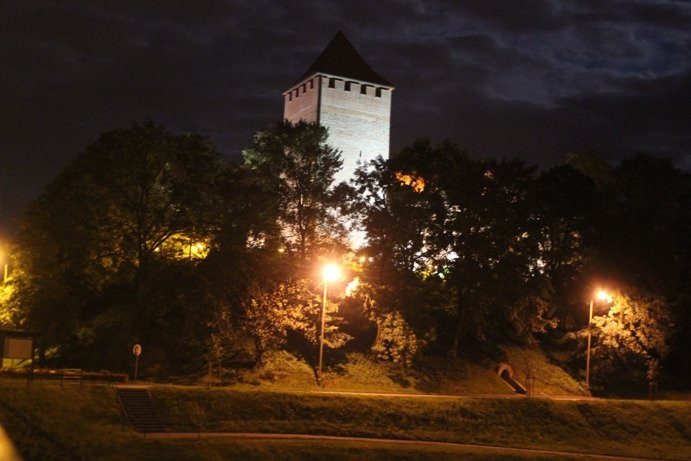 Zamek Museum景点图片