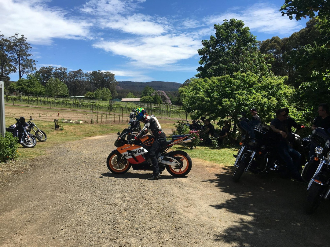 Noojee Vineyard景点图片