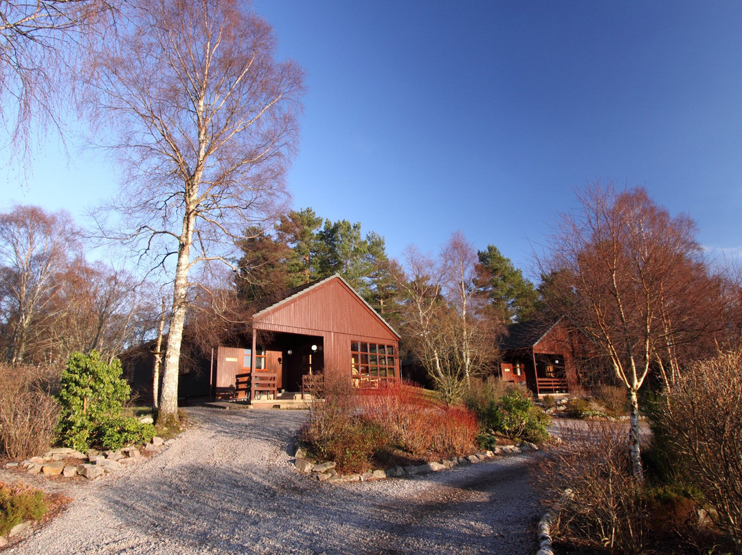 Tullochwood Lodges