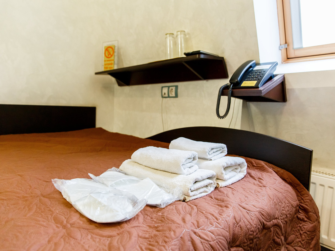 Tsaritsynskiy Hotel主图