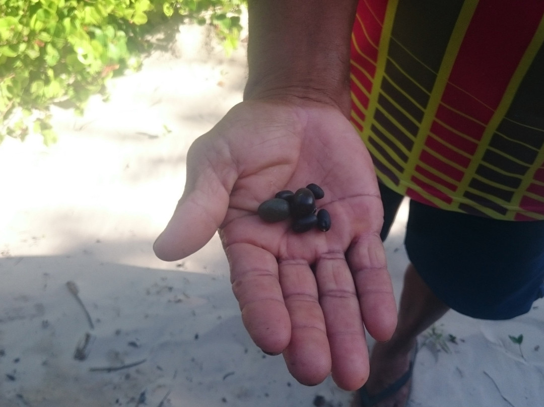 Pousada Estrela主图