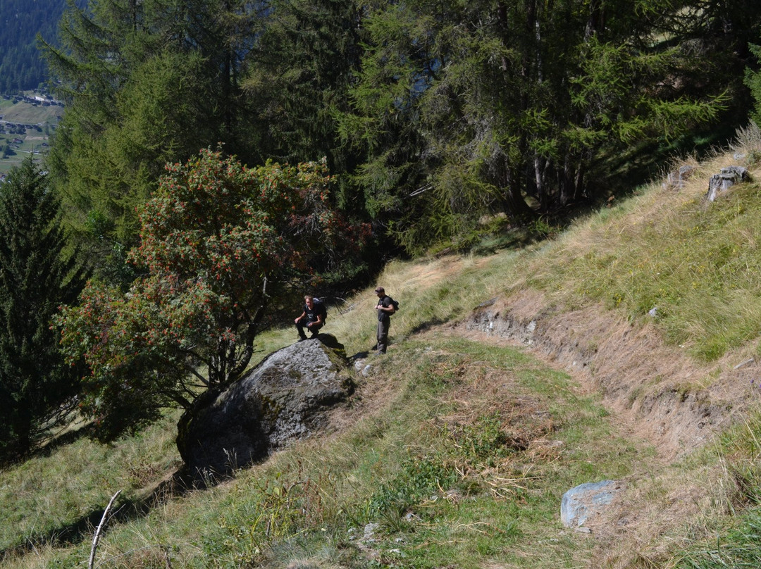 Sentier didactique de Zau Zoura景点图片