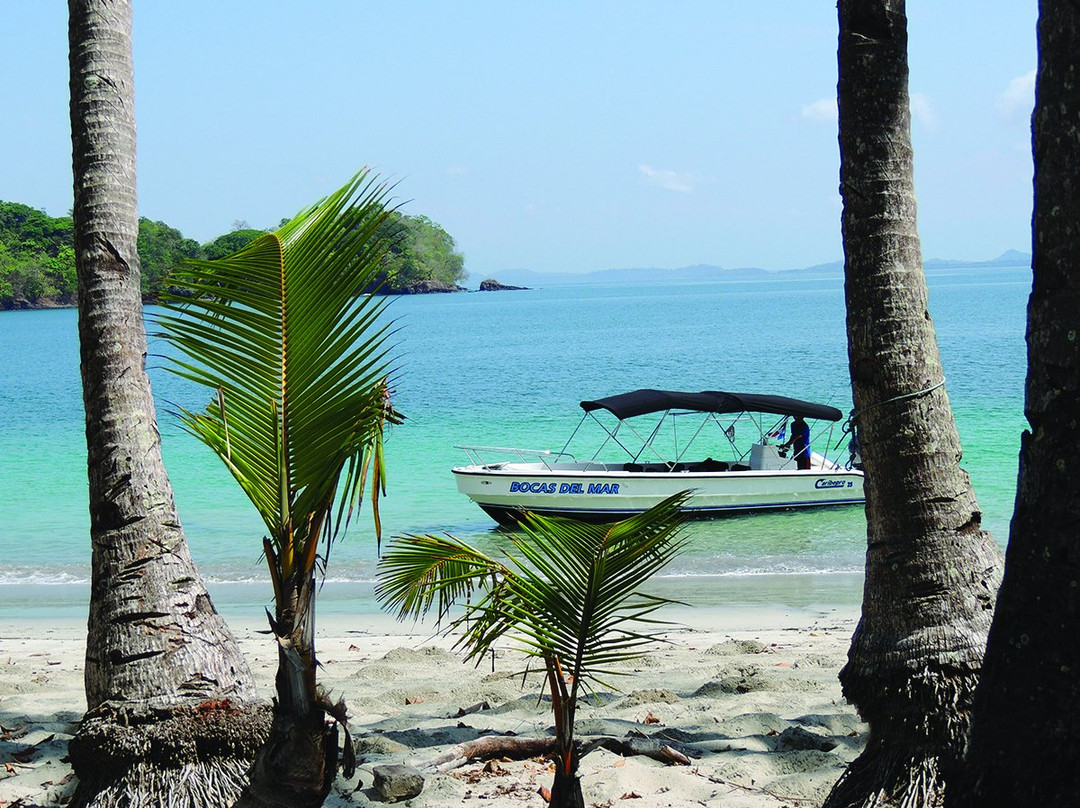 Bocas del Mar Activities景点图片