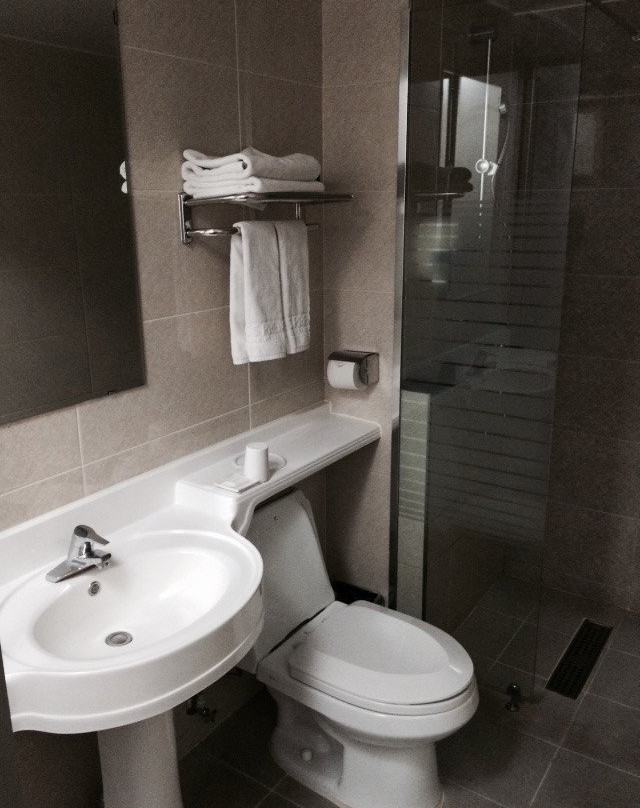 CS Premier Hotel主图