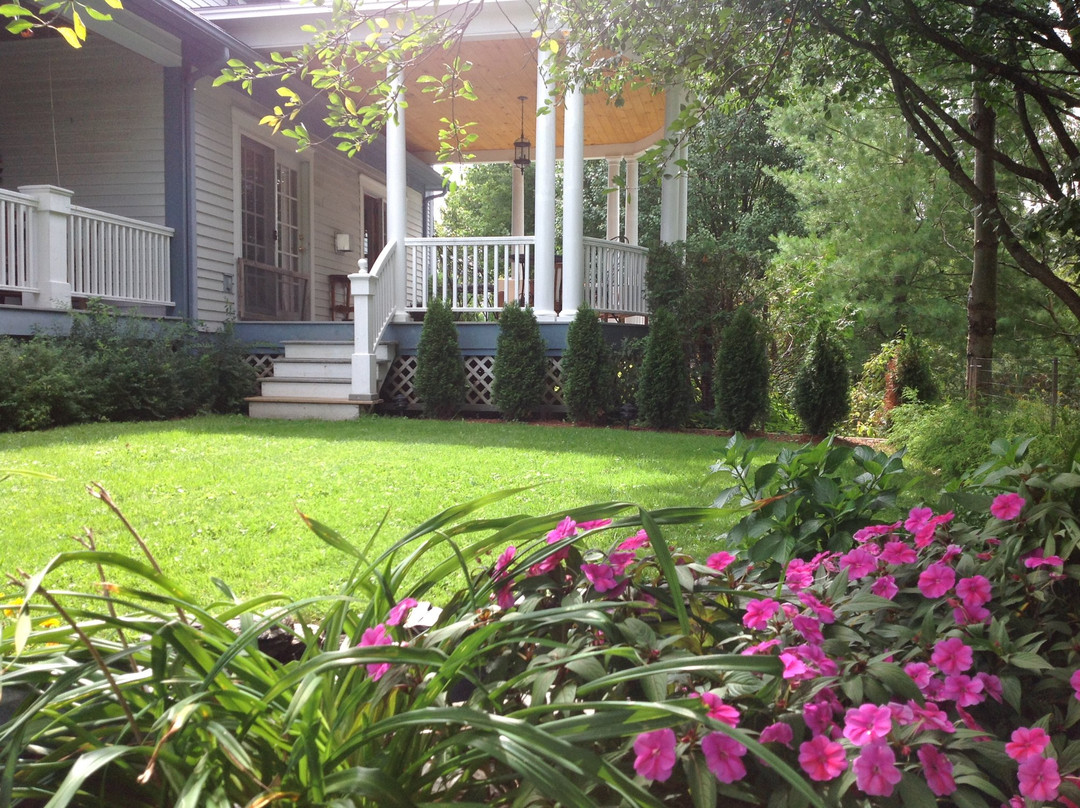 Williston Village Inn主图