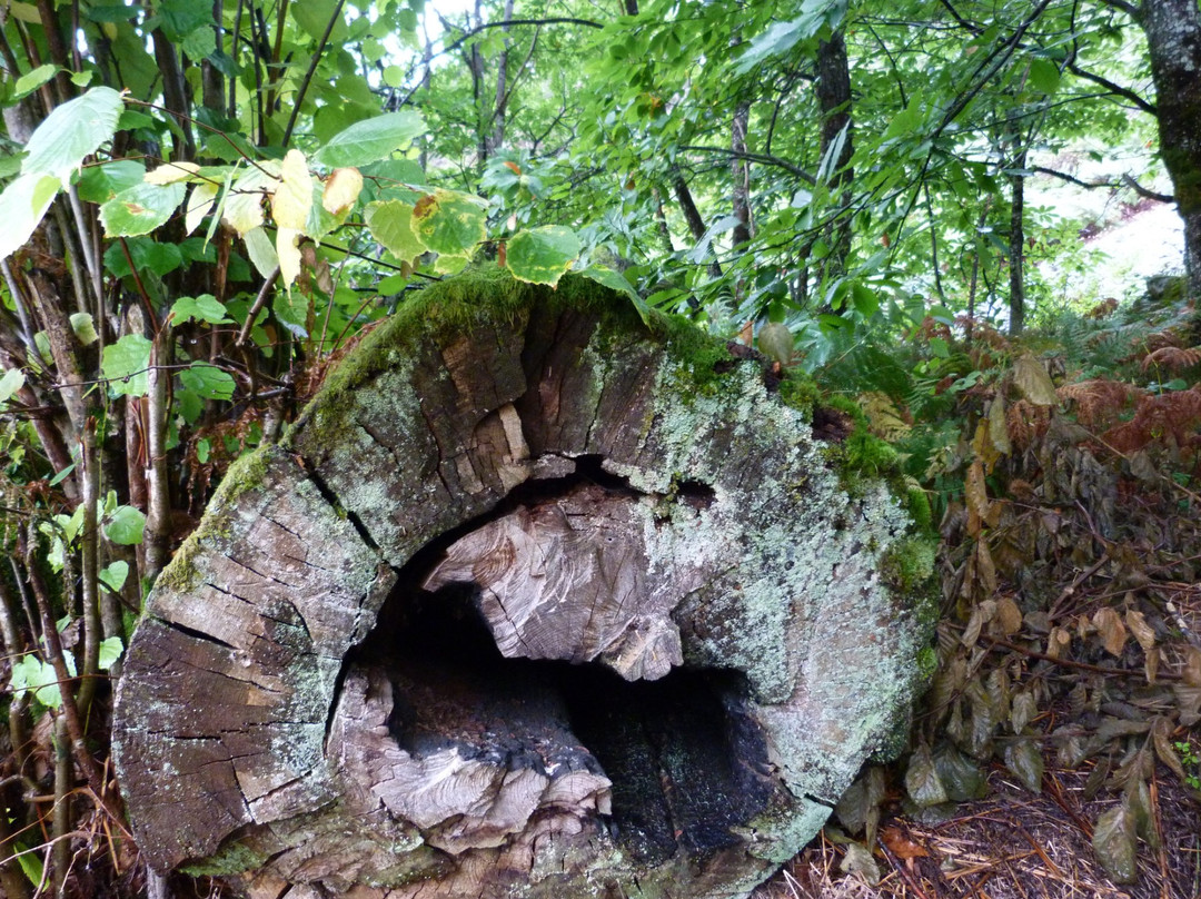 Ruta del Beyu Pen-Amieva必去景点