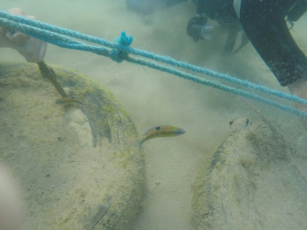 Plage Cala Bonita-Al Hoceima必去景点